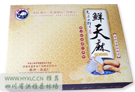 鲜天麻